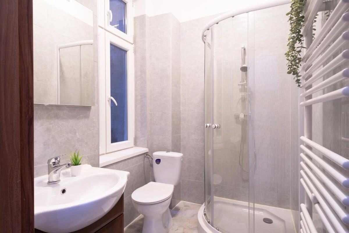 New Spacious Apartment At Superb Location Budapest Kültér fotó